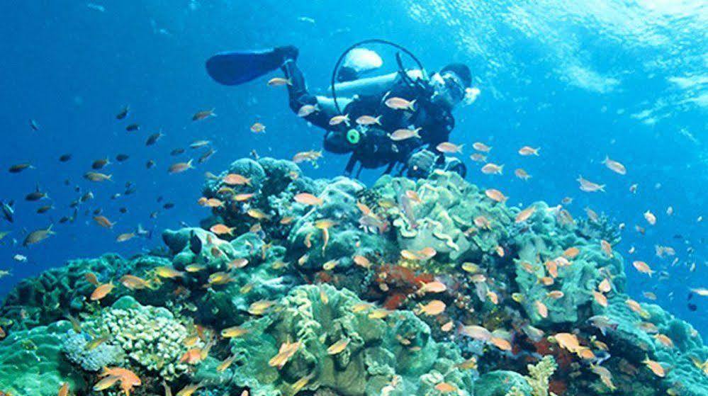 Bajo Komodo Eco Lodge Labuan Bajo Exteriér fotografie